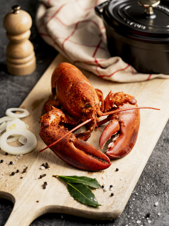 SG Lobster 0688