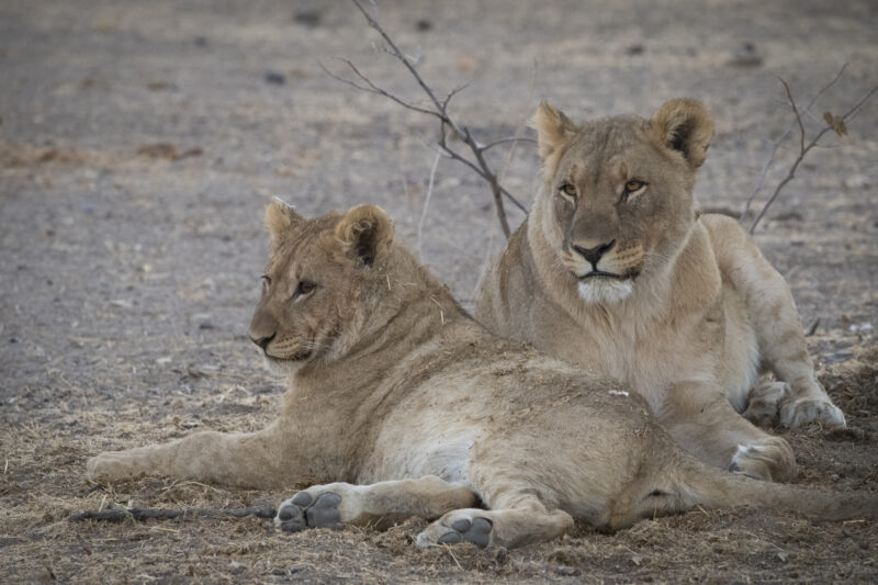 Travel Namibie 354